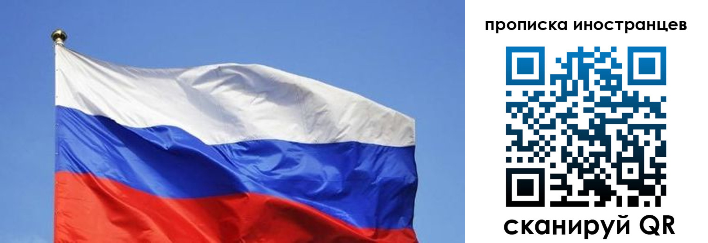регистрация в Сельцо